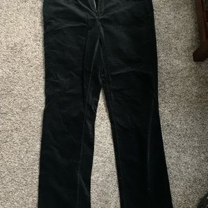 Loft Modern Straight Velvet Pants size14 NWOT